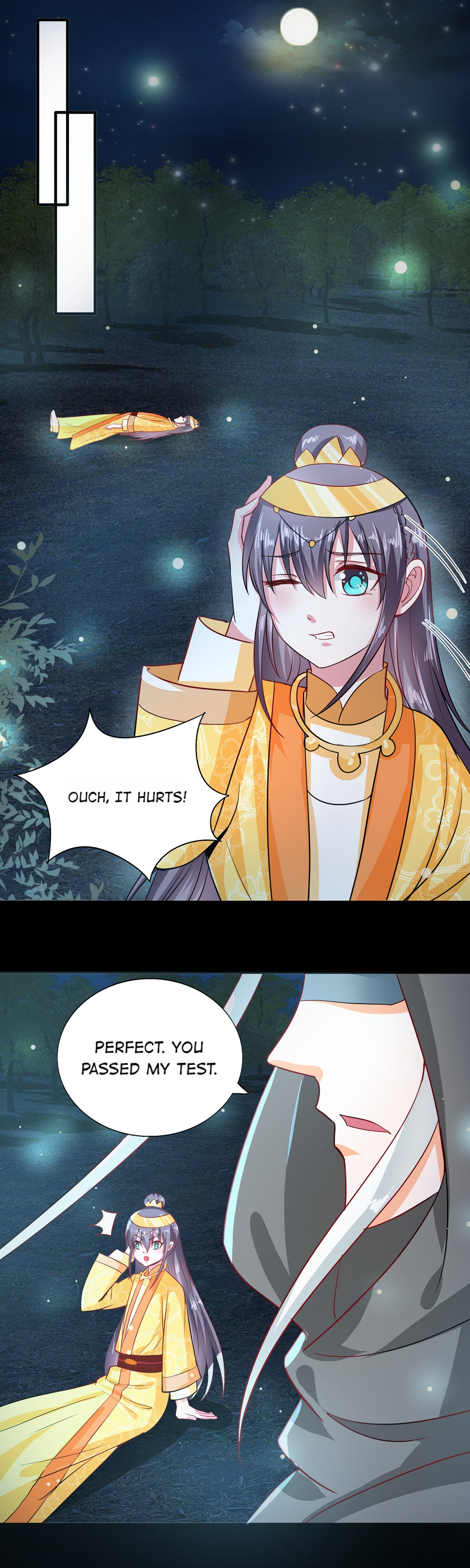 The Beloved Yin Yang Consort chapter 44 - page 11