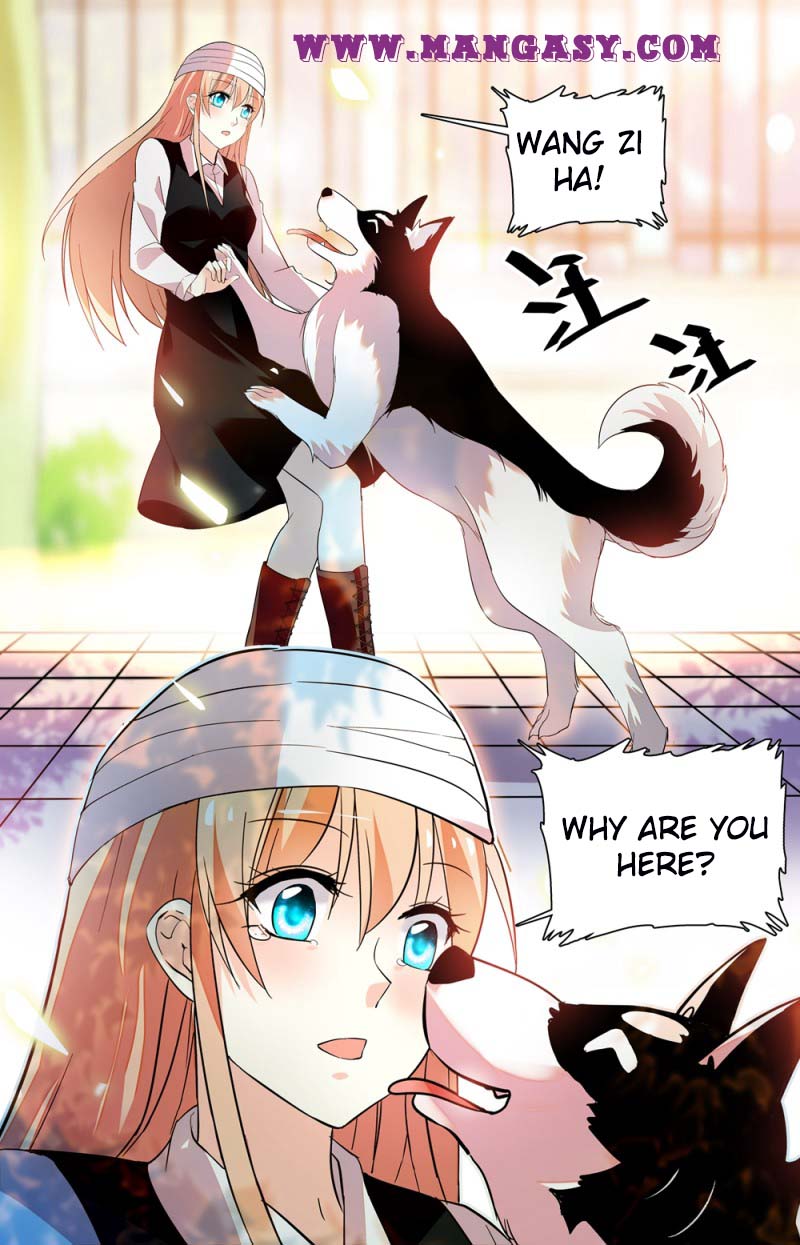 The Rules of Forbidden Love chapter 229 - page 2