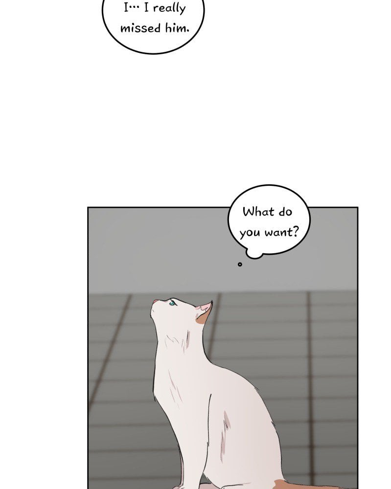 Fluffy Boyfriend chapter 30 - page 45