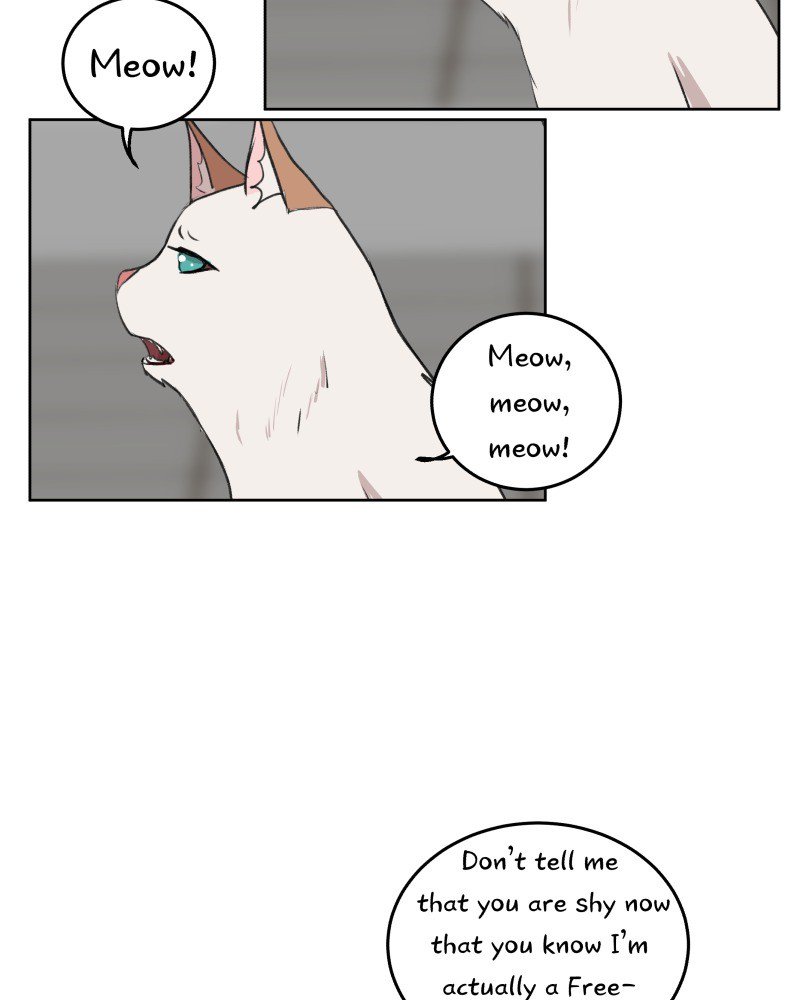 Fluffy Boyfriend chapter 30 - page 48