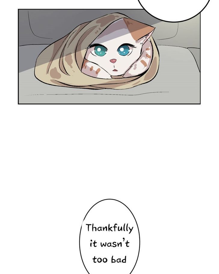 Fluffy Boyfriend chapter 5 - page 28