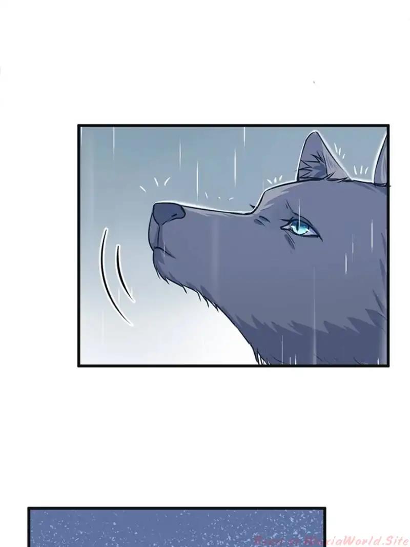 Beauty and the Beasts Chapter 85 - page 17