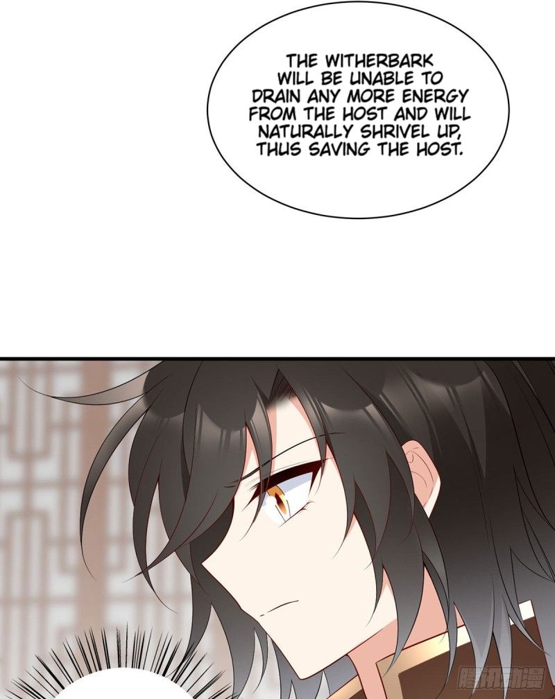 The Distinguished Cute Master Chapter 213 - page 13