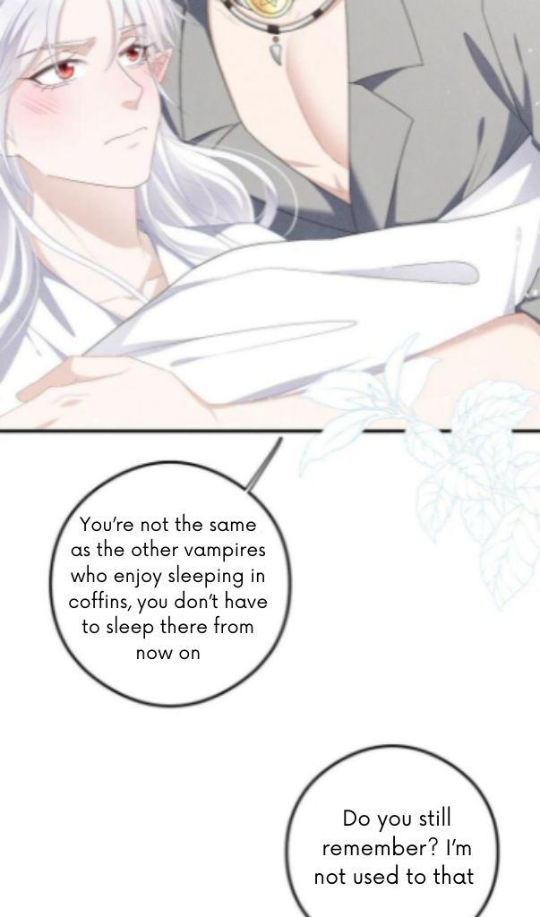 My Vampire Master Wants Revenge On Me chapter 21 - page 17