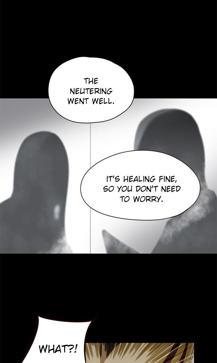 Eleceed - Manhwa Chapter 56 - page 8