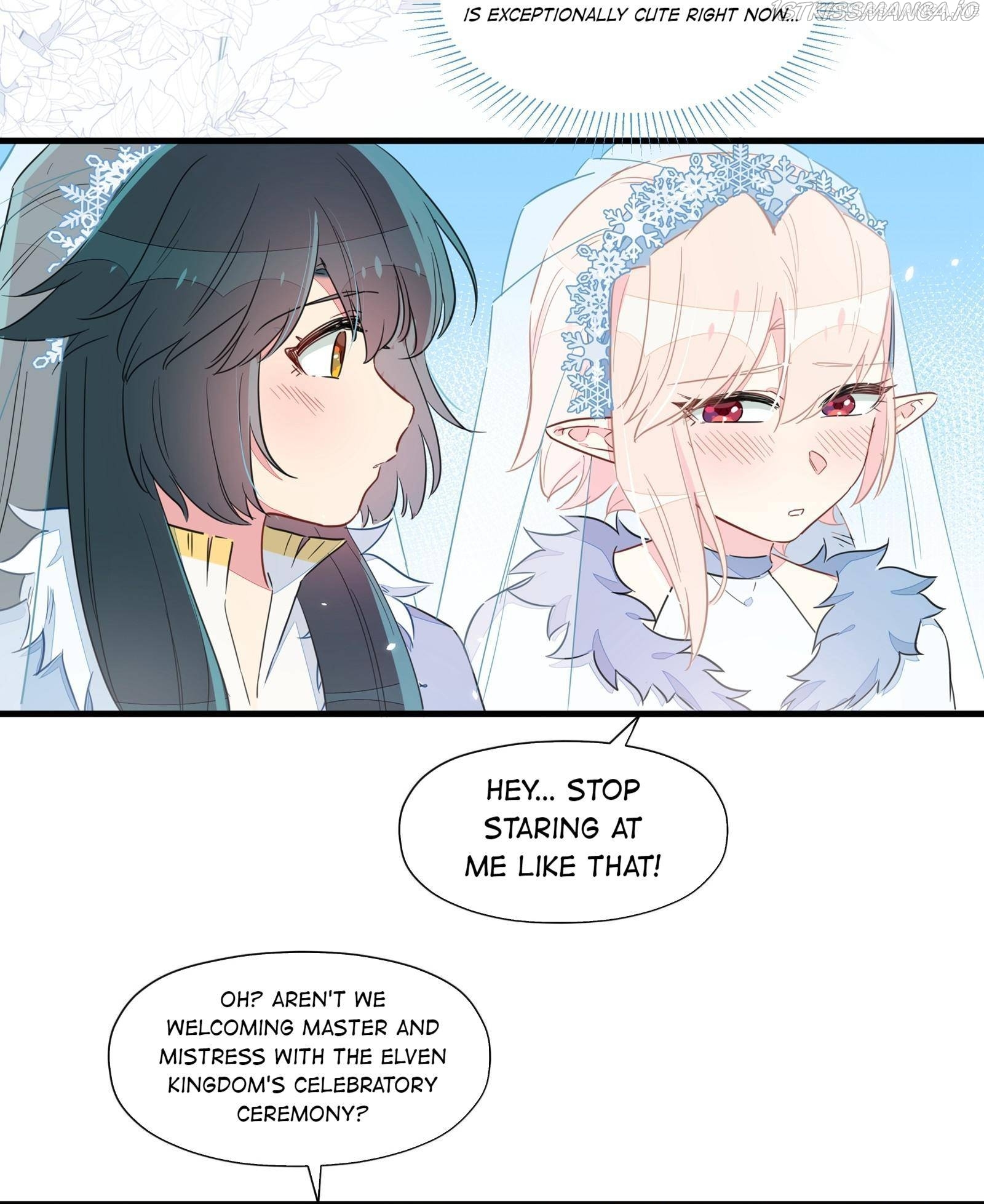 What Should I Do If I’ve Signed A Marriage Contract With The Elven Princess Chapter 37.1 - page 14