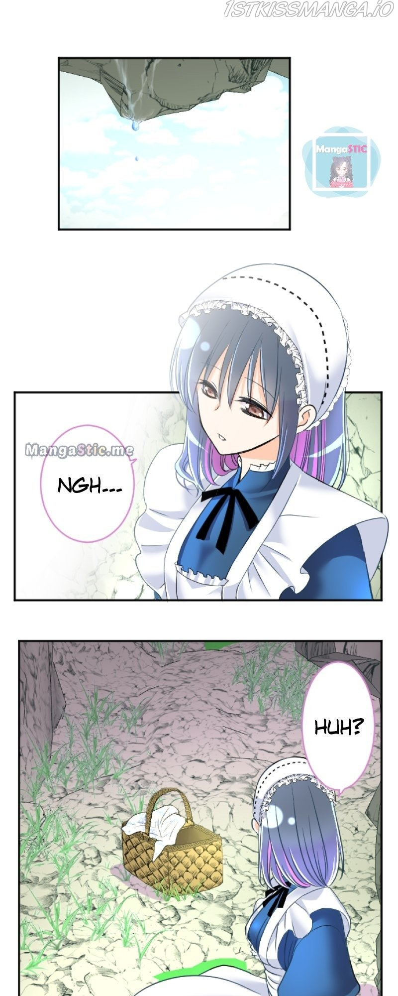 I was Reborn as a Housekeeper in a Parallel World! chapter 87 - page 42