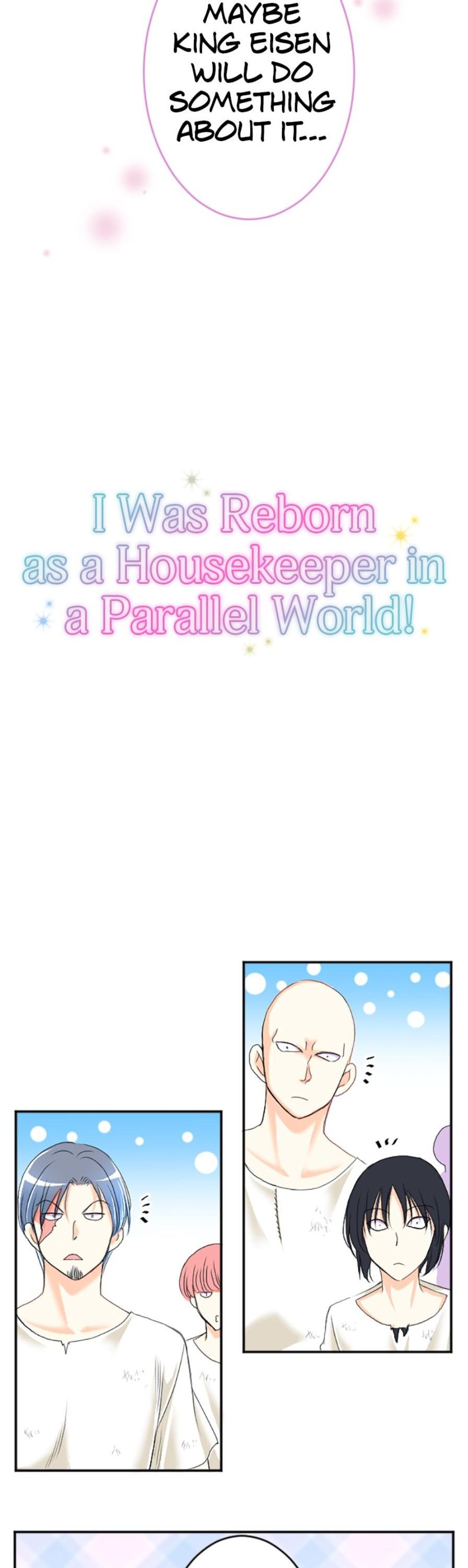 I was Reborn as a Housekeeper in a Parallel World! chapter 49 - page 4