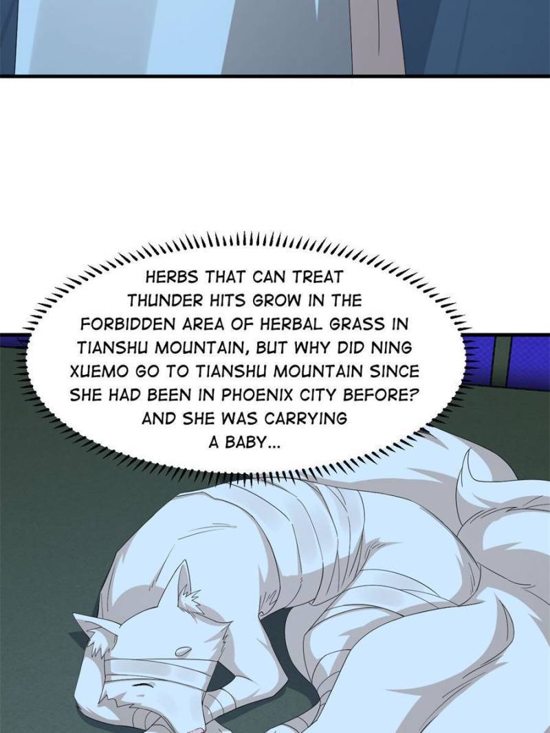 Queen of Posion: The Legend of a Super Agent, Doctor and Princess Chapter 315 - page 14