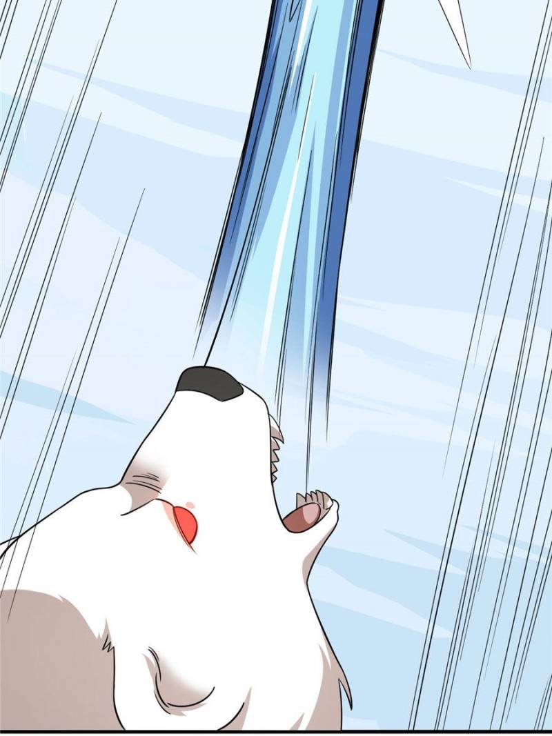 Queen of Posion: The Legend of a Super Agent, Doctor and Princess Chapter 207 - page 12