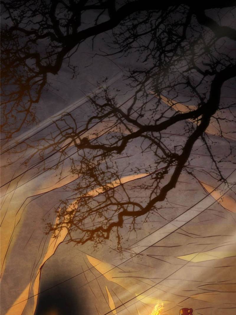 The Phoenix in a Turbulent World chapter 2 - page 34