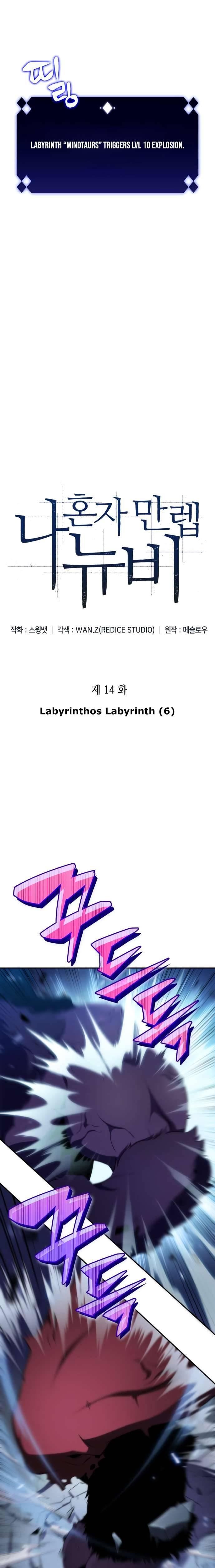 Solo Max-Level Newbie Chapter 14 - page 3