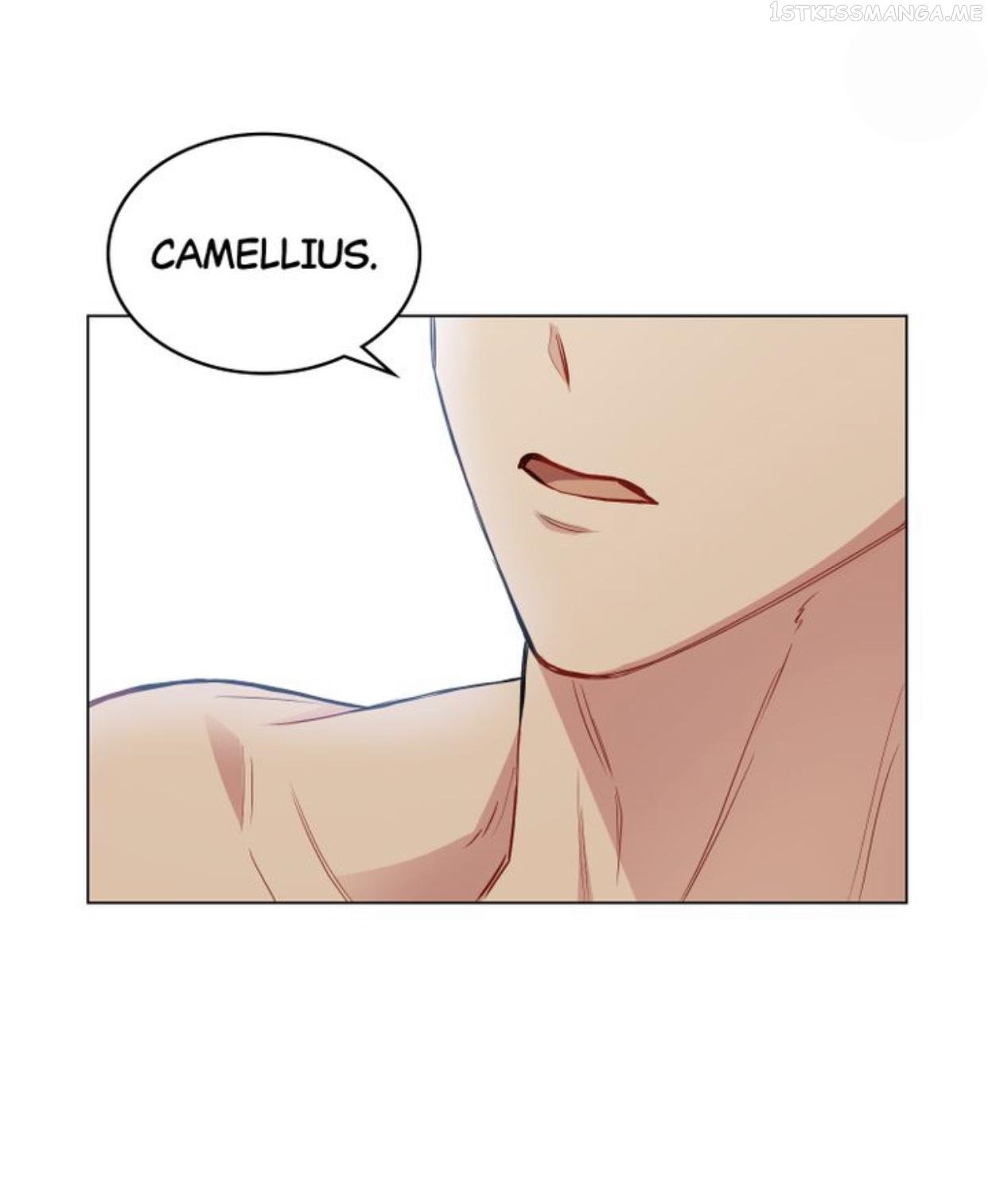 Finding Camellia Chapter 19.5 - page 25