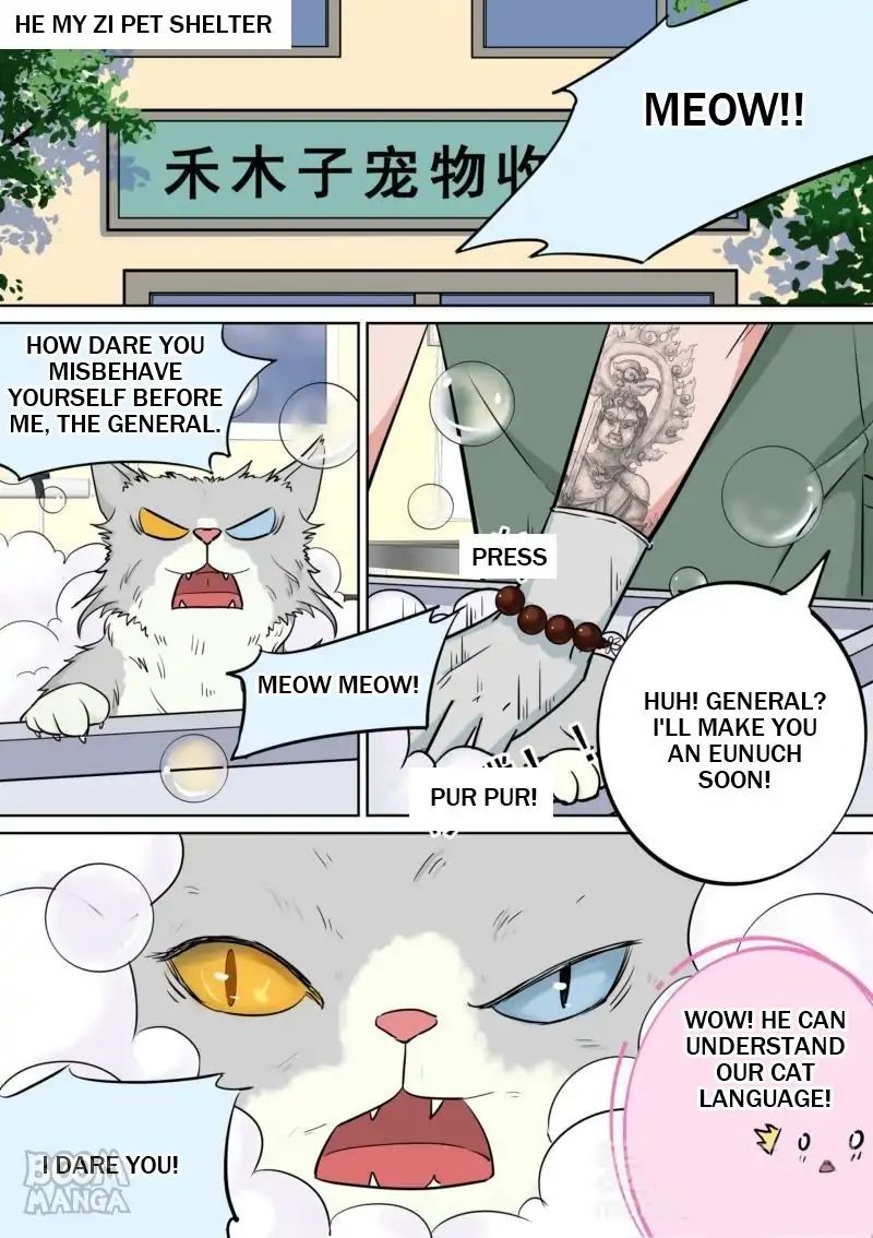 Fury Cat Chapter 6 - page 7