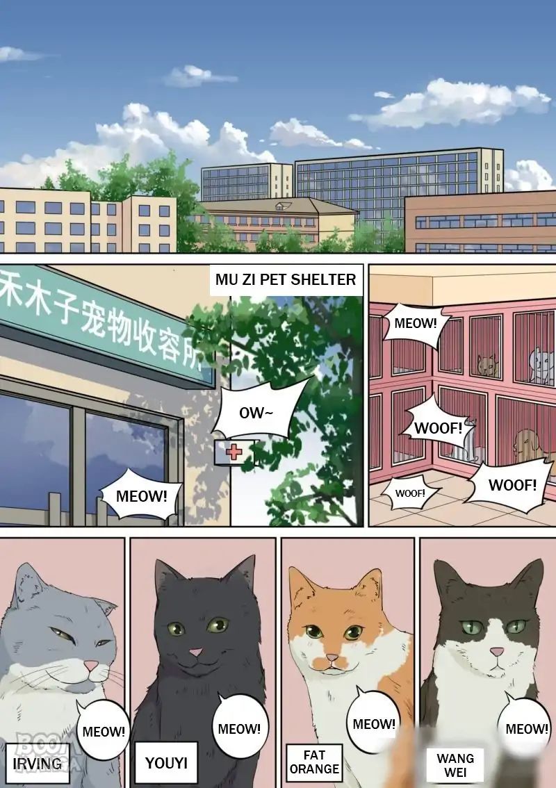 Fury Cat Chapter 5 - page 2