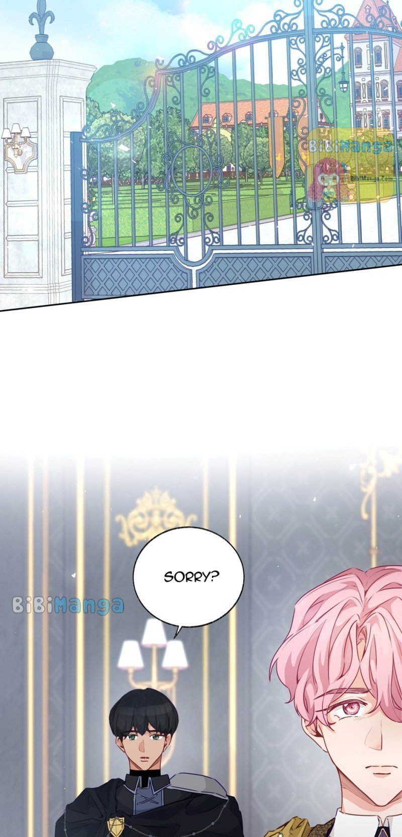 Stealing the Lady's Heart Chapter 47 - page 61