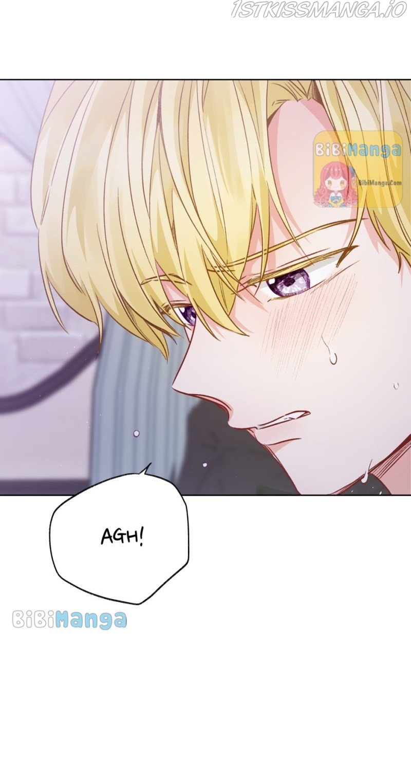 Stealing the Lady's Heart Chapter 49 - page 74