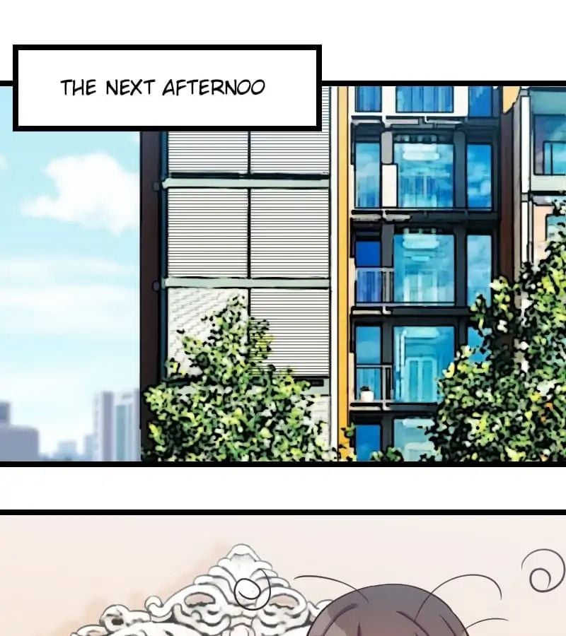 CEO’s Sudden Proposal Chapter 146 - page 1