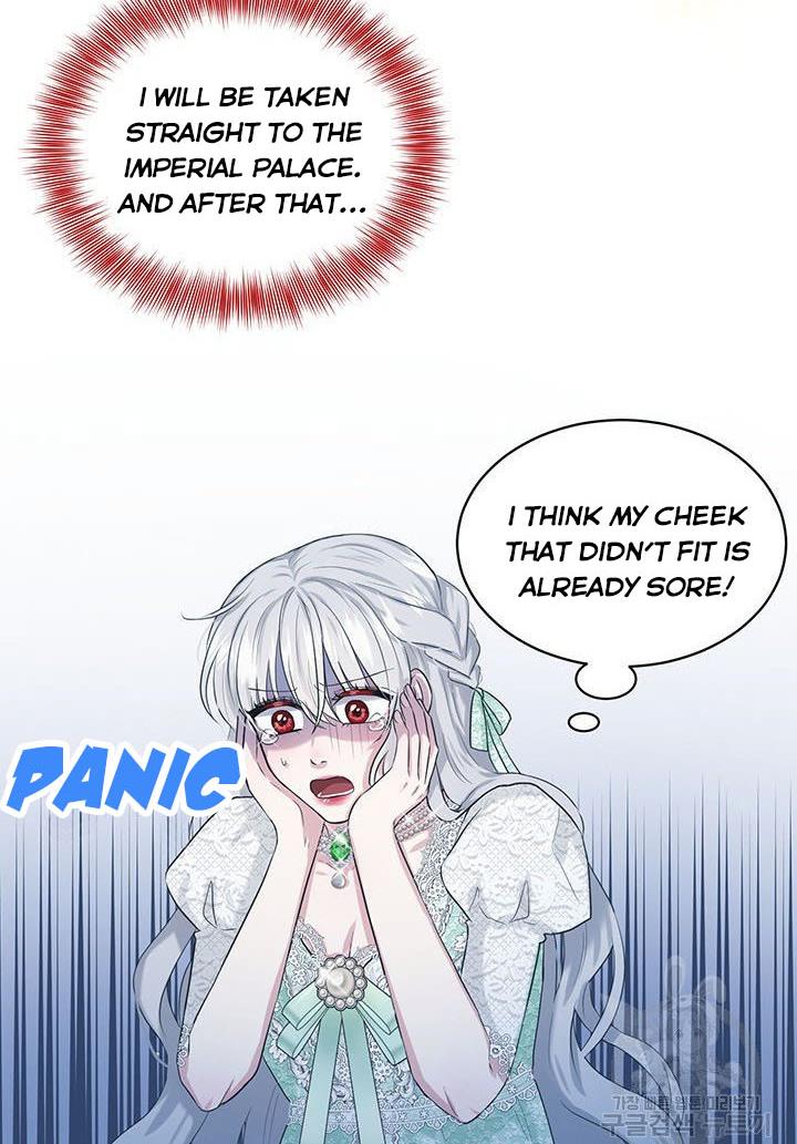 How to Get Rid of My Dark Past? chapter 12 - page 11