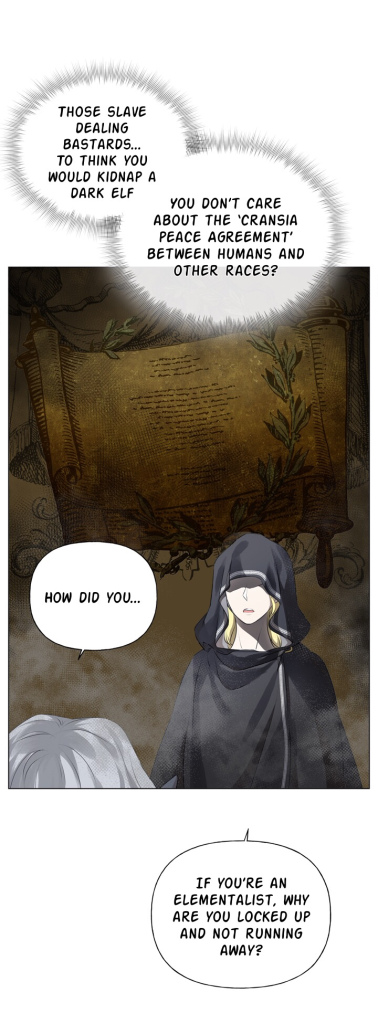 The Golden Haired Elementalist Chapter 69 - page 4