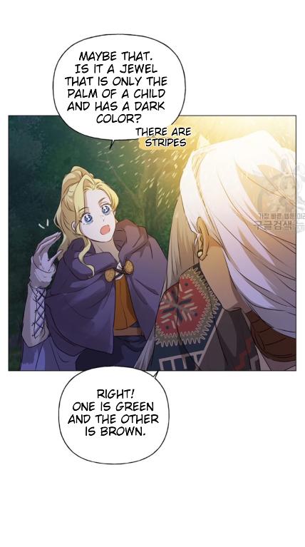 The Golden Haired Elementalist Chapter 58 - page 38