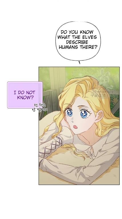 The Golden Haired Elementalist Chapter 57 - page 42