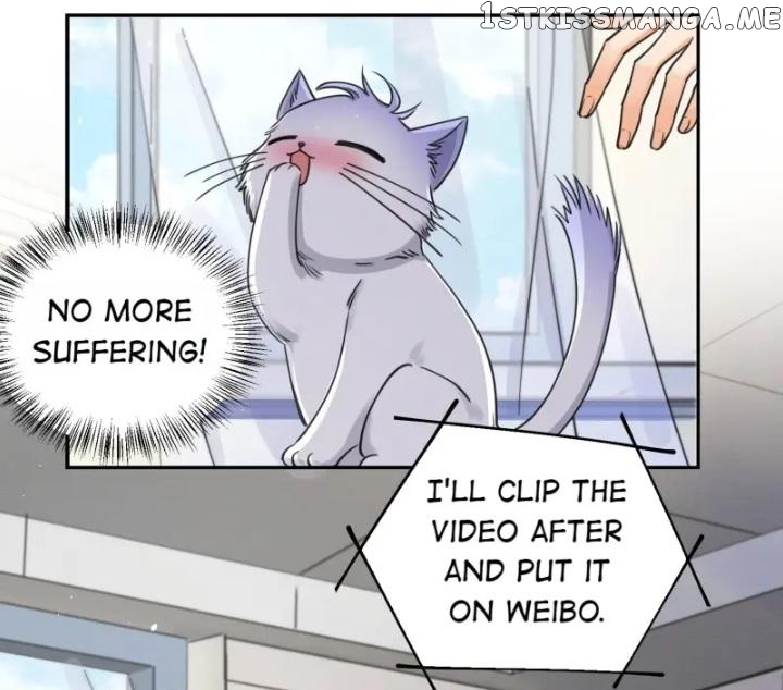 I Have To Work Hard As A Cat Today Chapter 13 - page 13