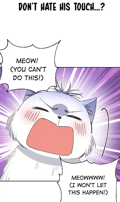 I Have To Work Hard As A Cat Today Chapter 0 - page 13
