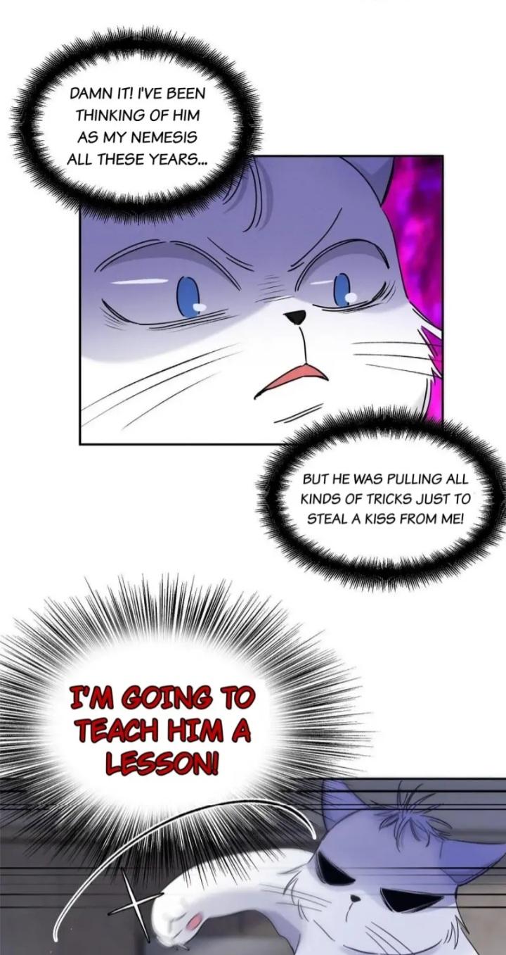 I Have To Work Hard As A Cat Today Chapter 46 - page 23