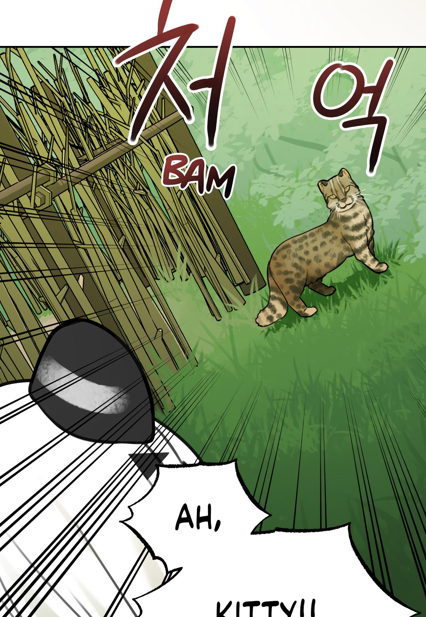 Tiger coming in! Chapter 69 - page 19