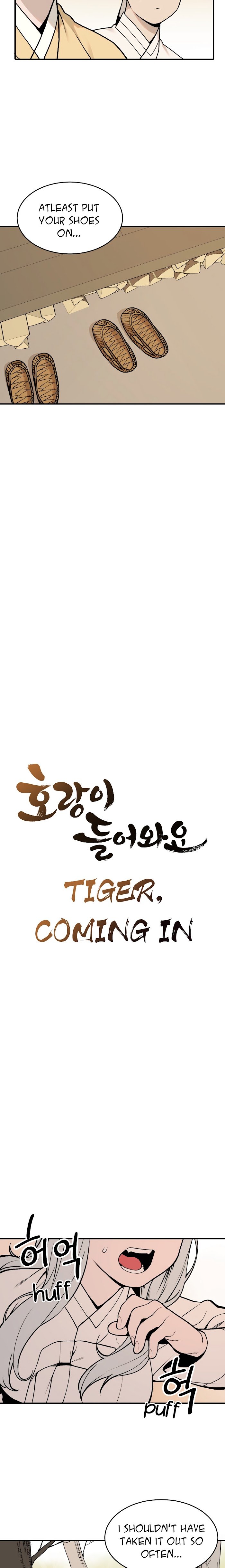 Tiger coming in! Chapter 31 - page 5