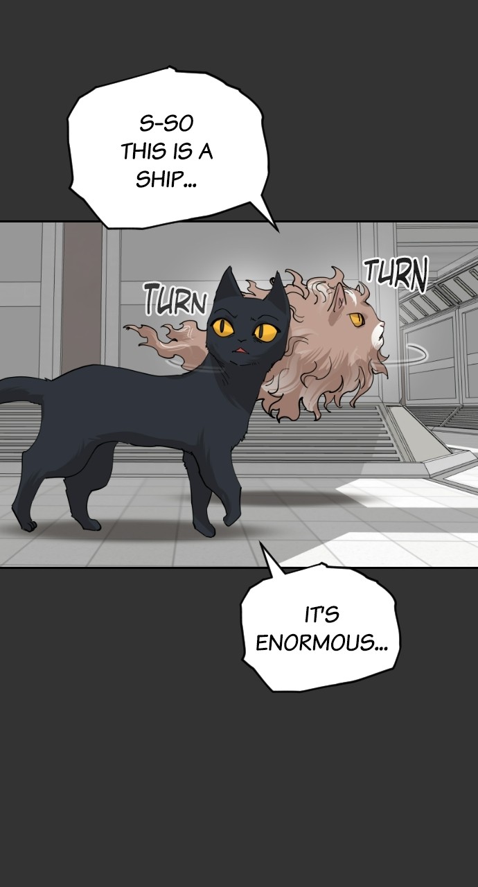 Meow Rangers Chapter 59 - page 27