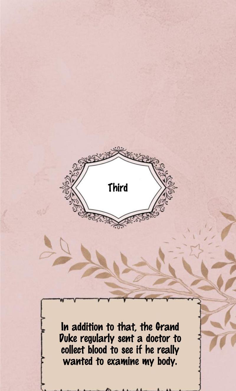 My In-laws are Obsessed With Me chapter 11 - page 22