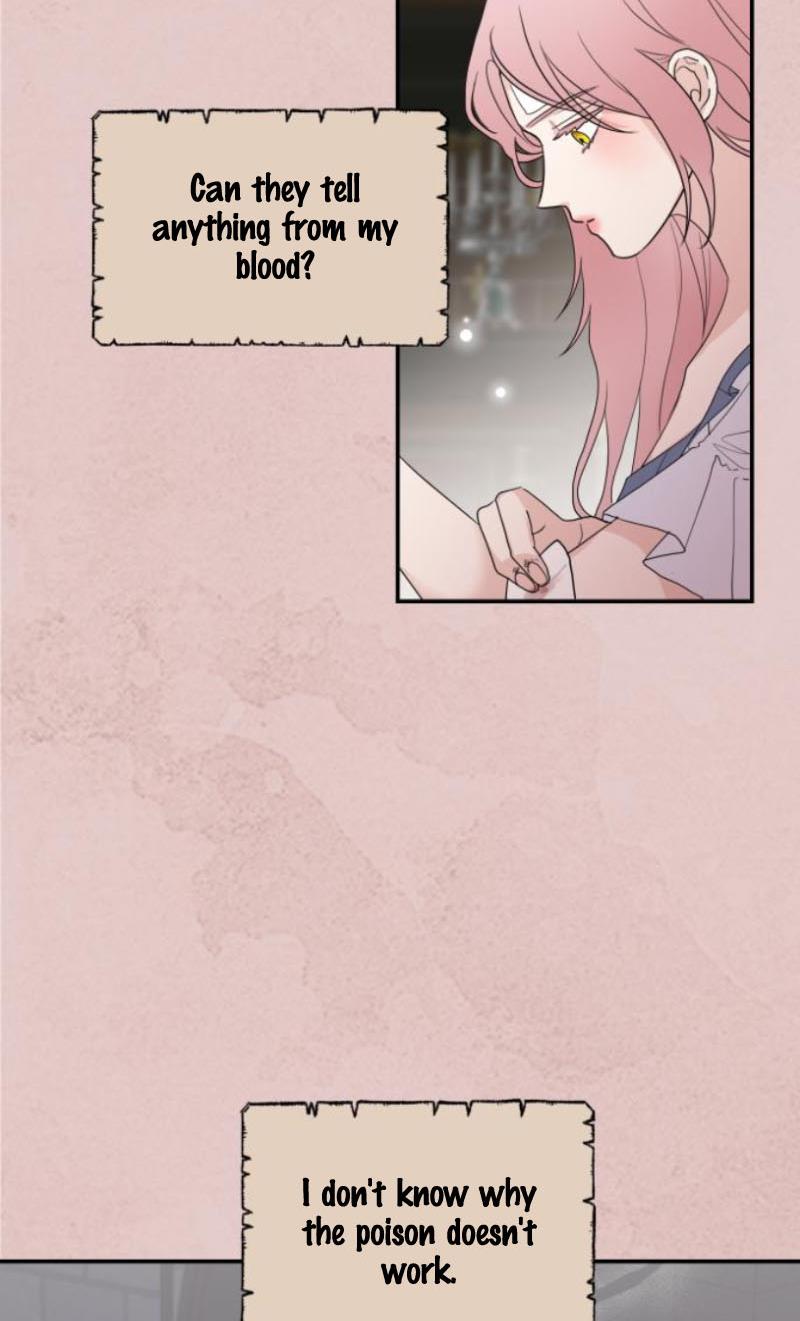 My In-laws are Obsessed With Me chapter 11 - page 24