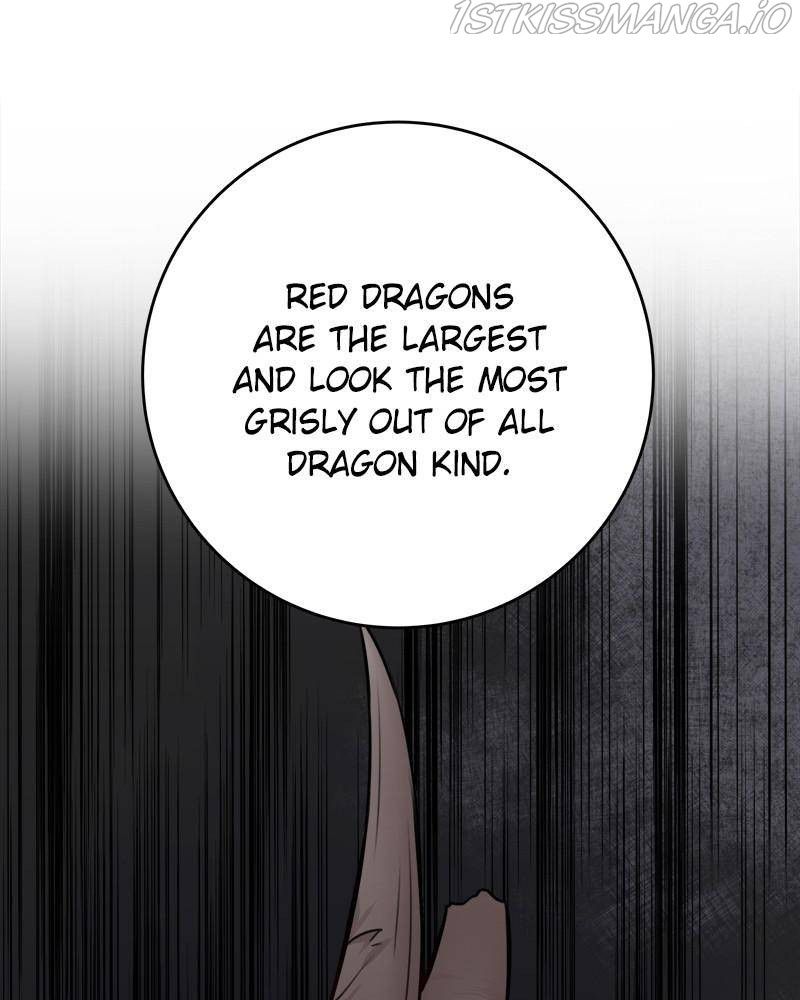 The Newlywed Life of a Witch and a Dragon chapter 52 - page 73