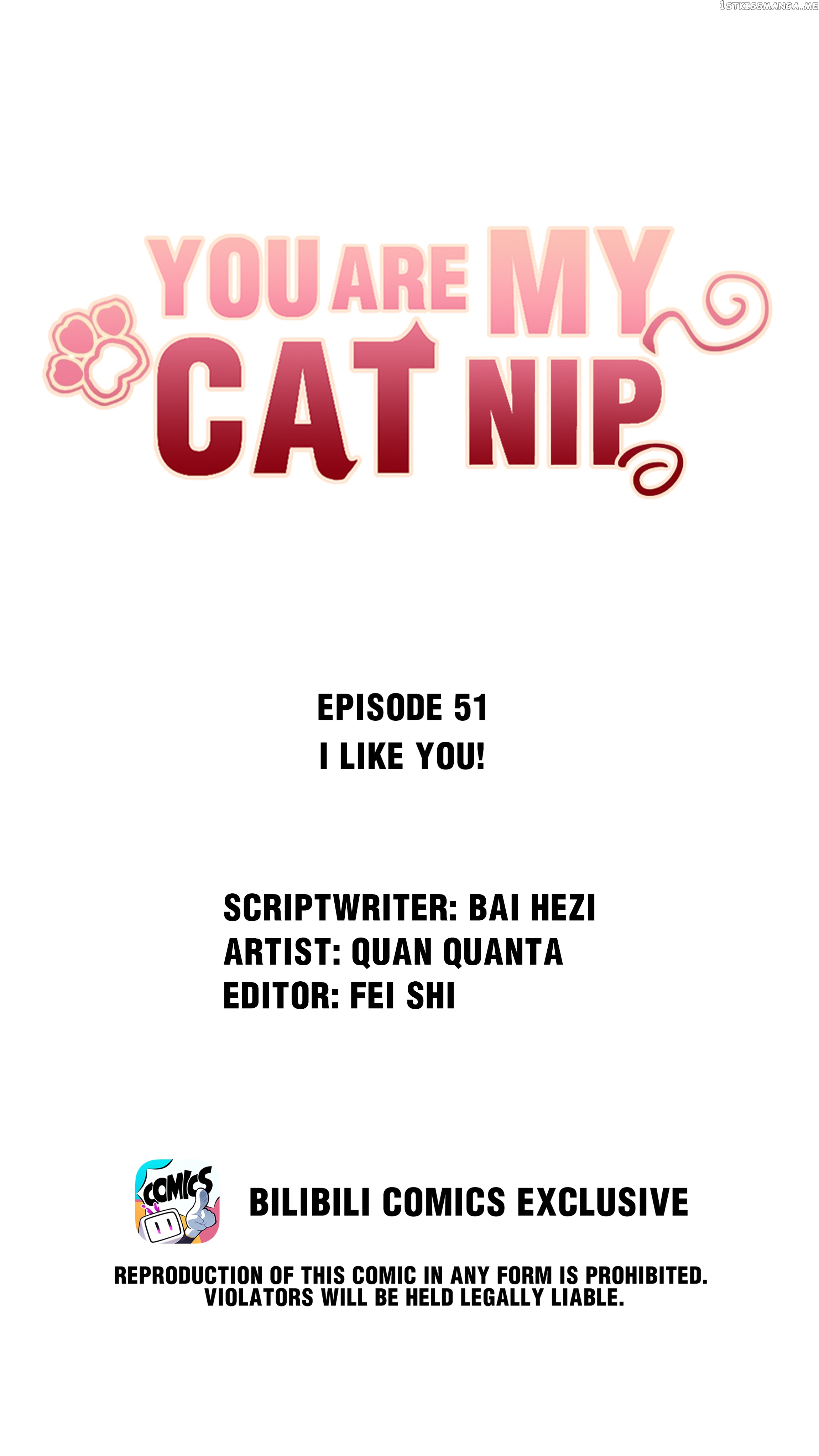 You Are My Catnip chapter 51 - page 1