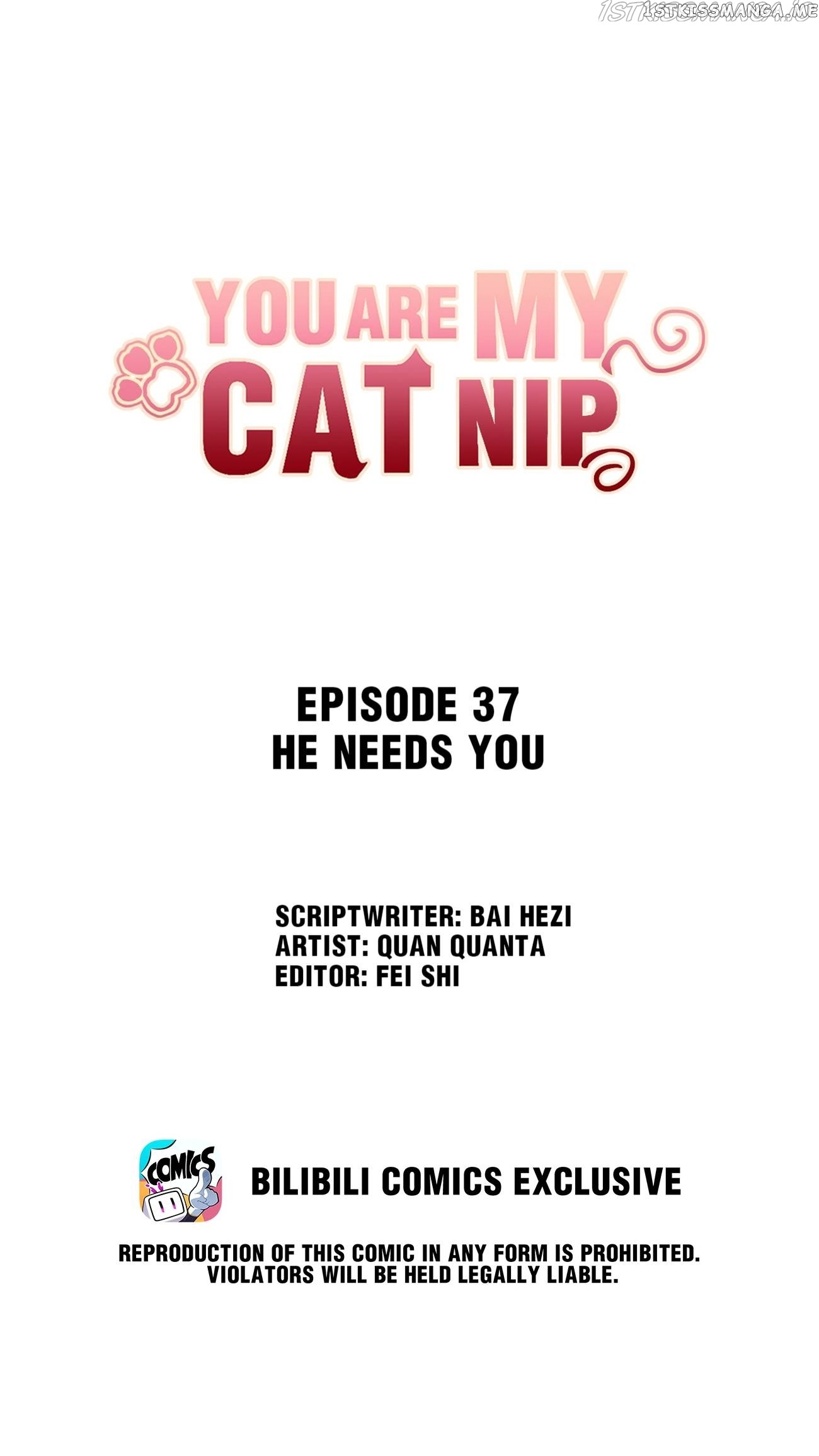 You Are My Catnip chapter 37 - page 1