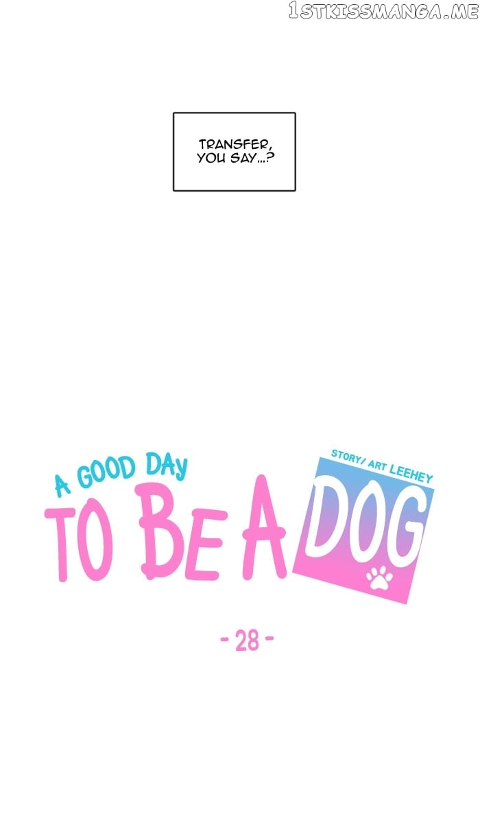 A Good Day to Be a Dog chapter 28 - page 37