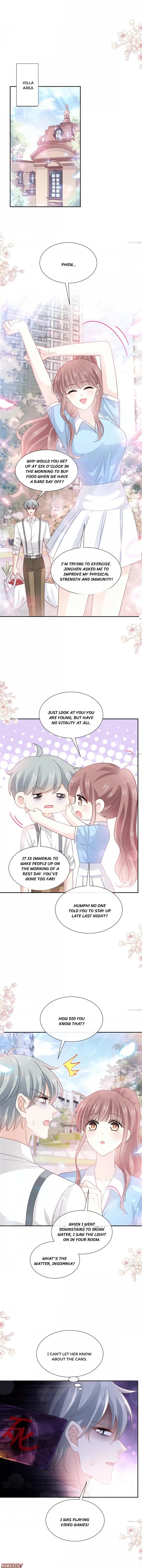 Love Me Gently, Bossy CEO chapter 266 - page 1