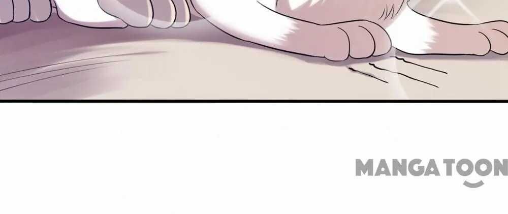 Spicy Wife’s Reborn World chapter 44 - page 55