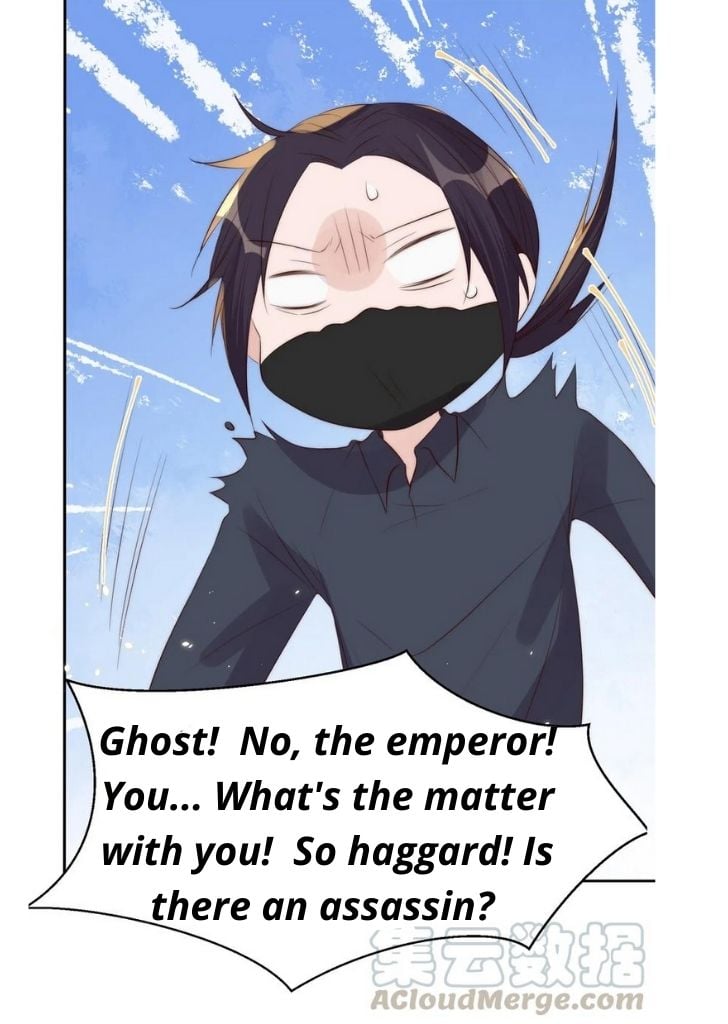 Stop Bothering Me, Emperor! chapter 36 - page 52