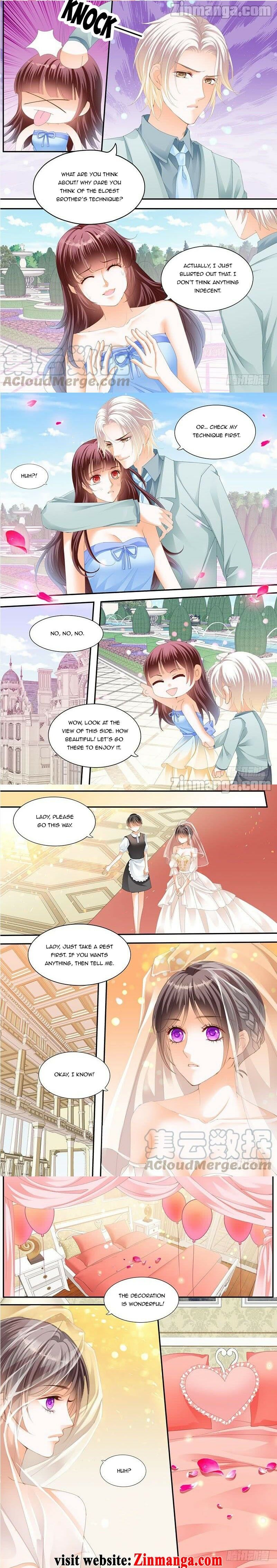 THE BEAUTIFUL WIFE OF THE WHIRLWIND MARRIAGE chapter 216 - page 3