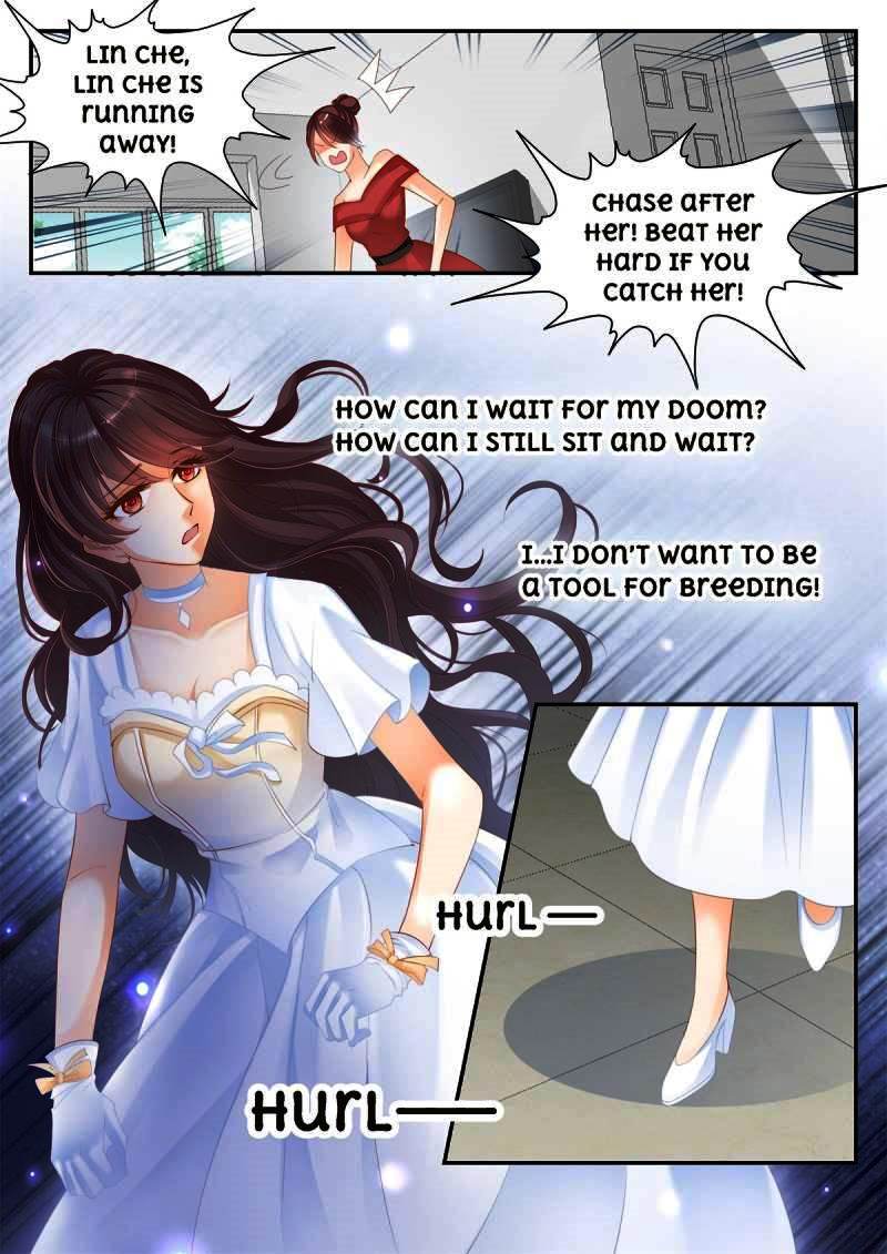 THE BEAUTIFUL WIFE OF THE WHIRLWIND MARRIAGE chapter 3 - page 6