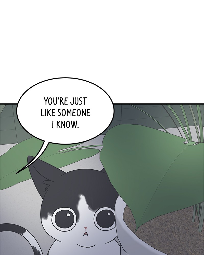 A Guide to Proper Dating chapter 54 - page 61