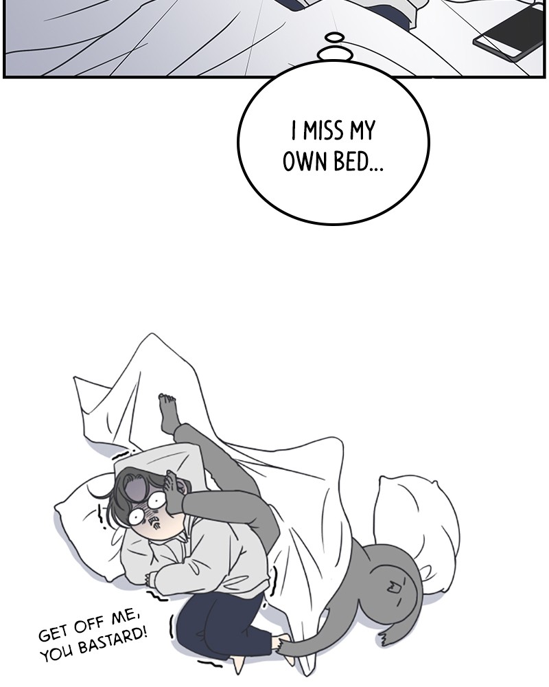 A Guide to Proper Dating chapter 36 - page 17