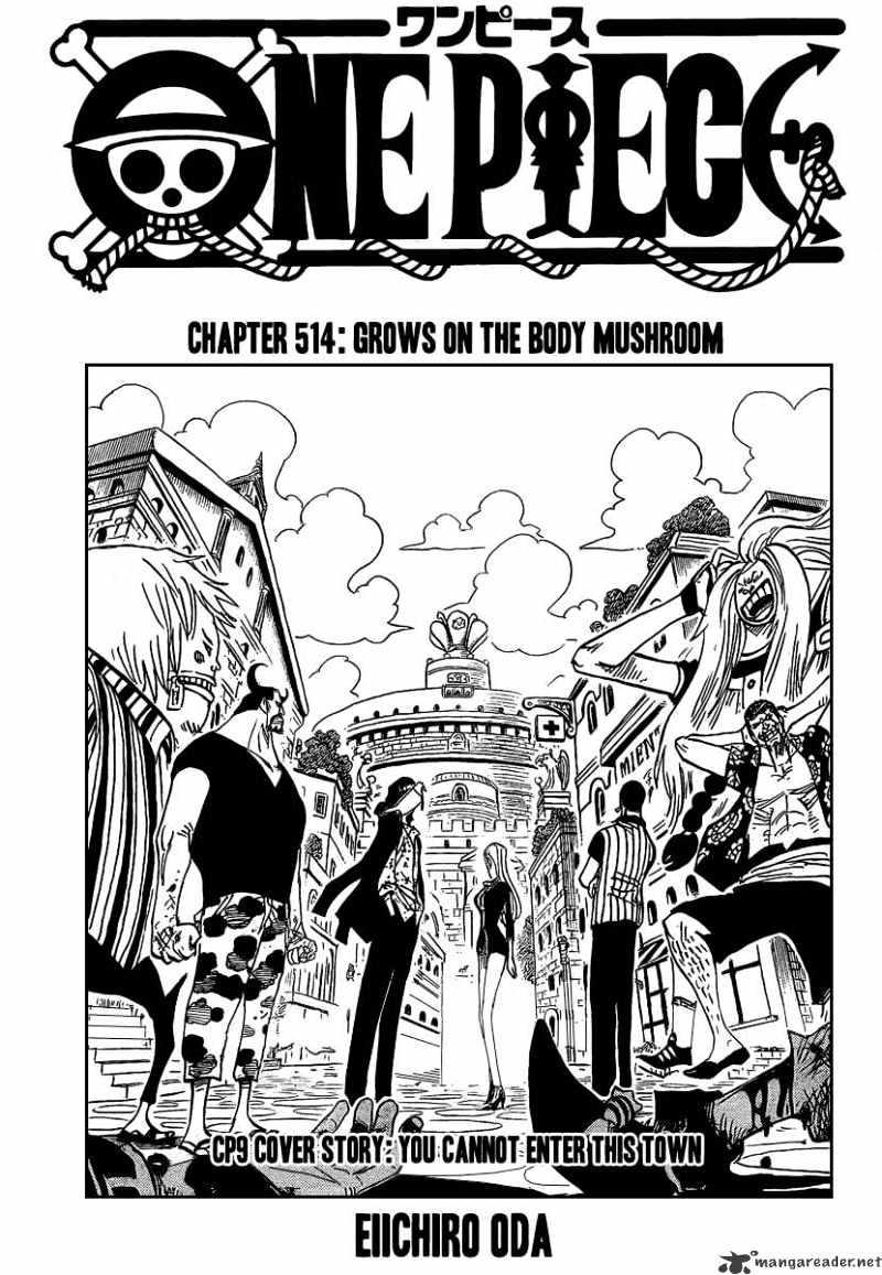 One Piece chapter 514 - page 1