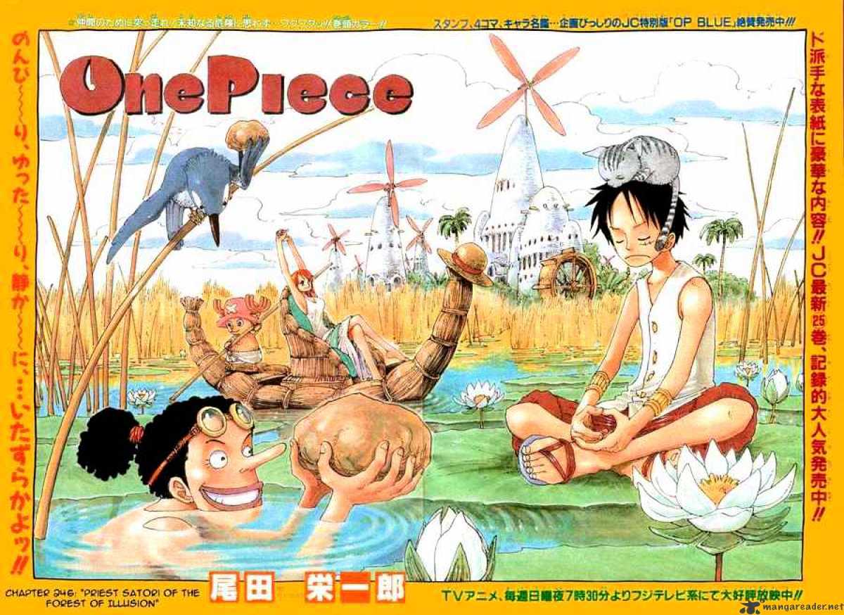 One Piece chapter 246 - page 1