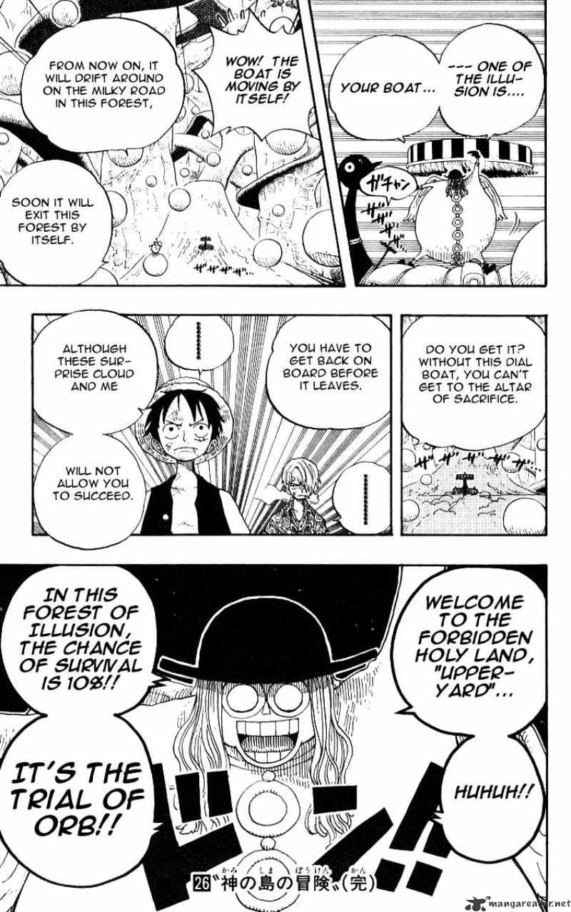 One Piece chapter 246 - page 19