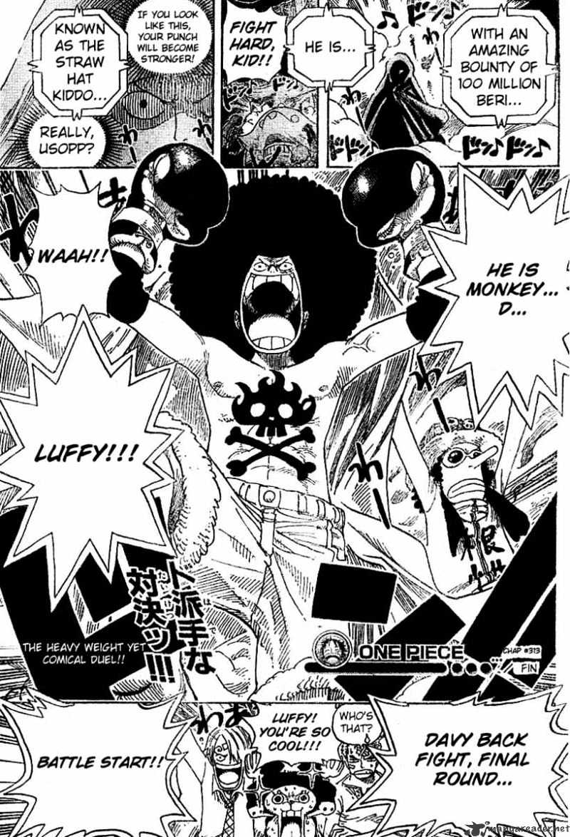 One Piece chapter 313 - page 19