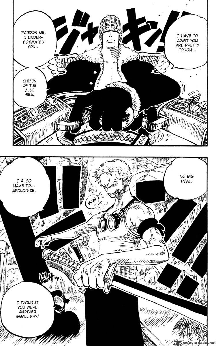 One Piece chapter 258 - page 19